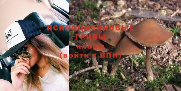 эйфоретик Баксан