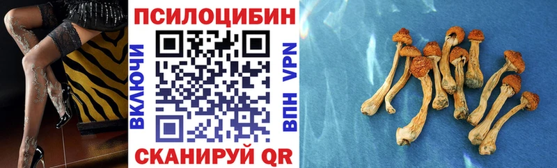 Купить где  Невель  Галлюциногенные грибы мухоморы 